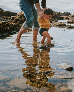 baby steps in pond with dad 