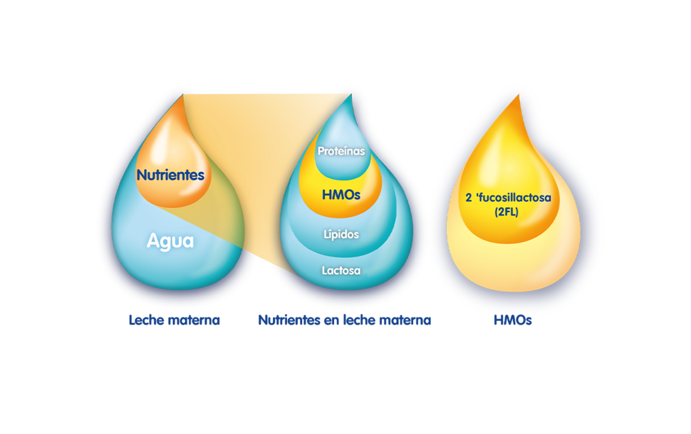 Comparativa de leche materna y HMO